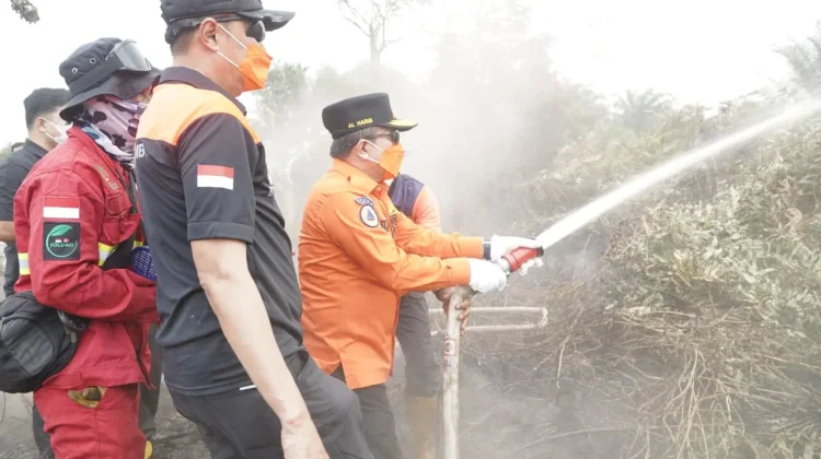 Ikut Proses Pemadaman di Sarolangun, Gubernur Minta Dukungan Heli Waterbombing