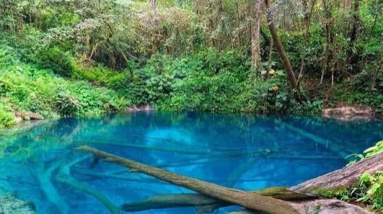 Hari Danau Sedunia Setiap Tanggal 27 Agustus