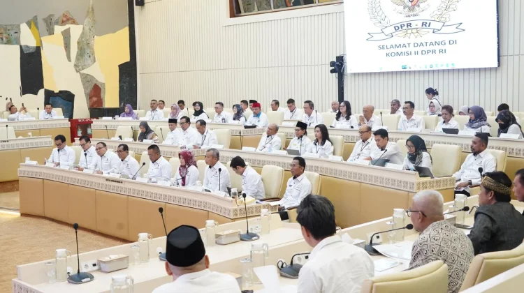 Perdana RDP Khusus dengan Komisi II DPR RI, Ombudsman Sampaikan Capaian Pengawasan