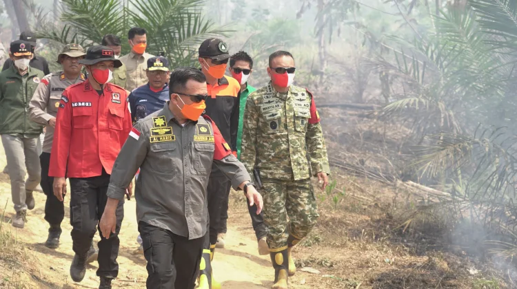 Upaya Penanganan Karhutla, Taman Hutan Raya Batang Hari Kembali Menjadi Perhatian