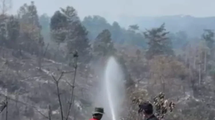 Gubernur Pantau Karhutla Tahura di Batang Hari, Dua Waterbombing Disiapkan