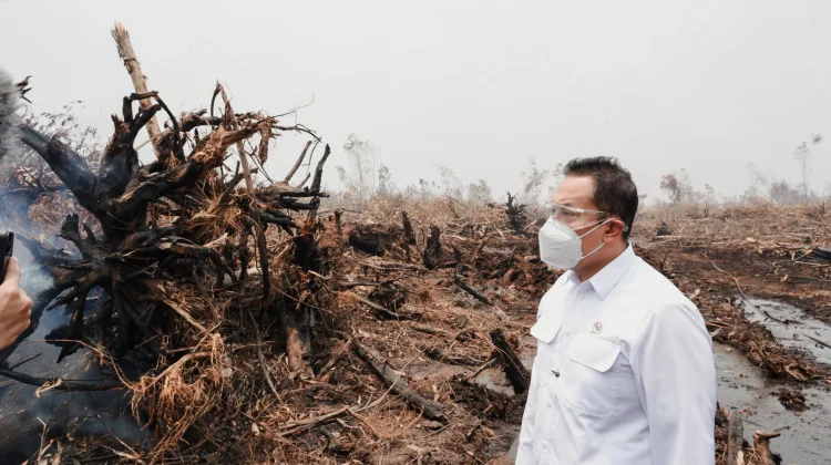 Wamen LH Temukan Praktik Baik Penanganan Karhutla di Jambi