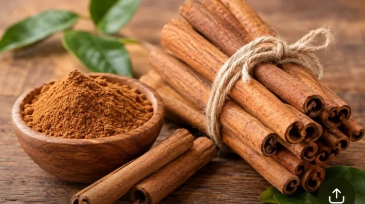 Konsumsi Kayu Manis Berlebihan Bisa Ganggu Aktivitas Obat