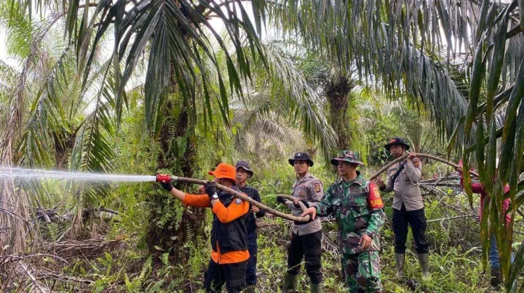 Karhutla Melanda 9 Kecamatan di Muaro Jambi, Jaluko Jadi Salah Satu Wilayah Rawan
