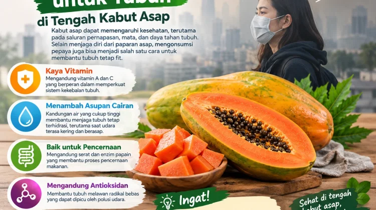 Manfaat Buah Pepaya saat Kabut Asap