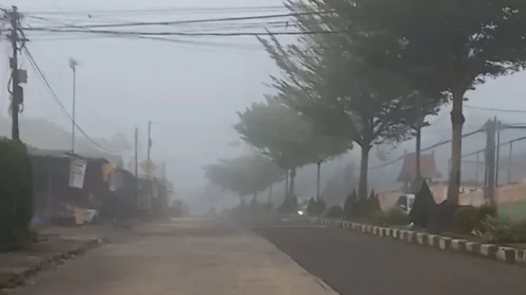 Udara Jambi Tidak Sehat, Warga Diminta Kurangi Aktivitas di Luar