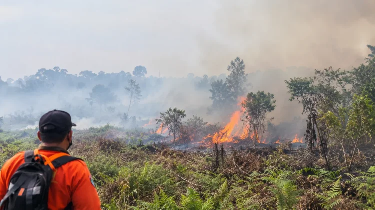 Sebanyak 1.846 Titik Panas Terdeteksi di Jambi pada Awal September