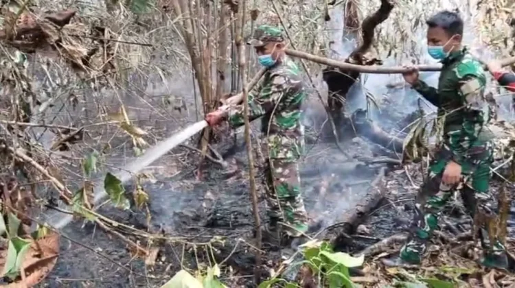Tim Gabungan Bergerak Cepat Padamkan Api di Kawasan PT REKI Batanghari