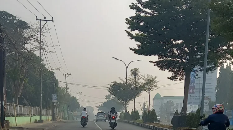 Kabut Asap, Kualitas Udara Kota Jambi Masuk Kategori Sangat Tidak Sehat