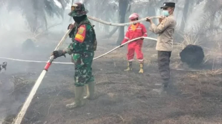 Kabut Asap Berbahaya bagi Kesehatan