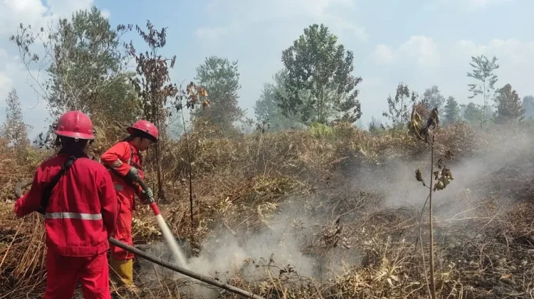 Januari hingga September 179 Kejadian Kebakaran Terjadi di Kota Jambi