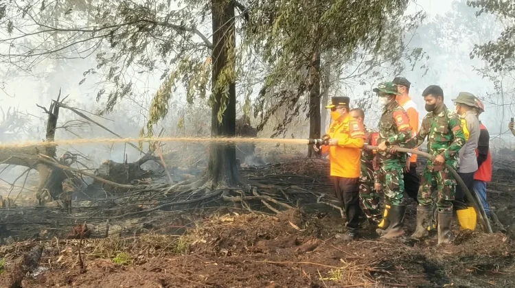 Londerang Kembali Terbakar, Al Haris Turun Langsung Uji Zat Pemadam Api Gambut