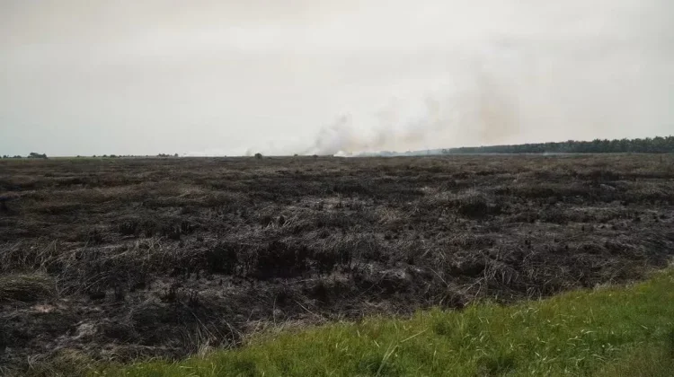 Pemkab Muara Jambi Perkuat Penanggulangan Karhutla
