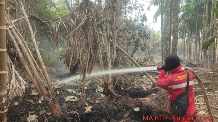 Manggala Agni Masih Lakukan Pemadaman Beberapa Titik Karhutla di Tanjabtim