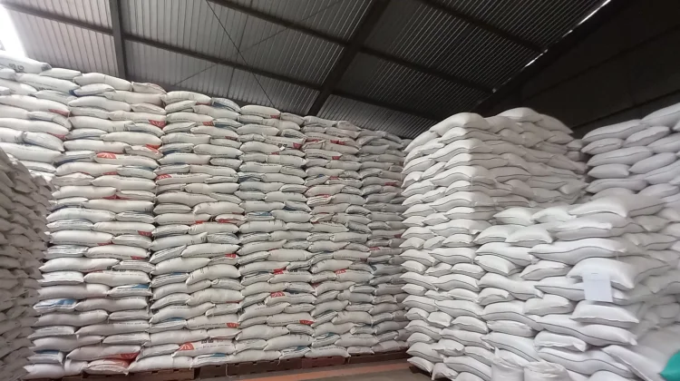 Stok Beras Bulog Jambi Mencapai 12 Ribu Ton, Aman hingga Akhir Tahun