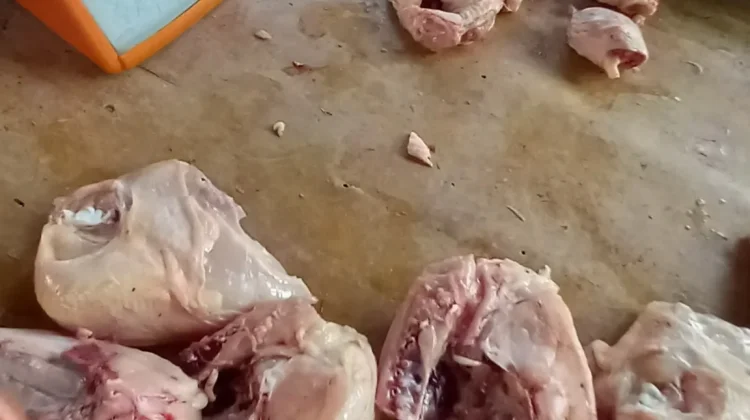 Harga Ayam Ras Naik di Hampir Semua Daerah Jambi