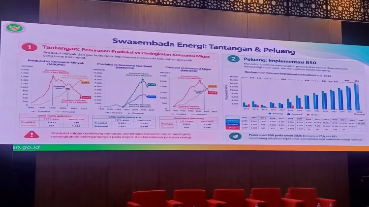 Dewan Energi Nasional Serius Upayakan Cadangan Penyangga Energi