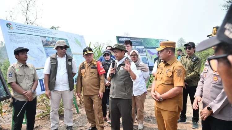Dampingi Menhut, Gubernur Jambi Turut Tinjau Konservasi Gajah dan Hutan Desa