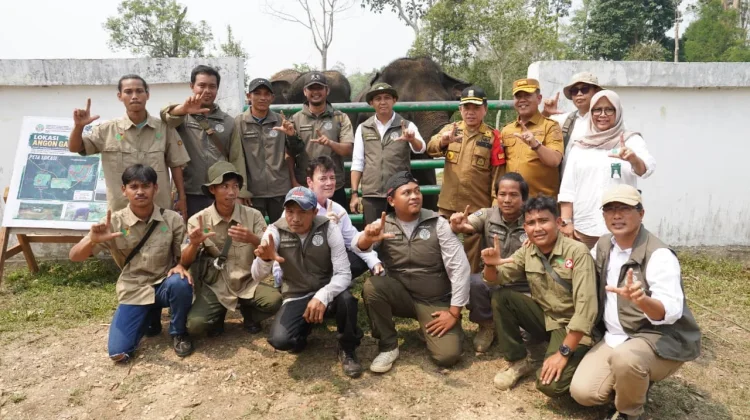 Menhut RI Tinjau Konservasi Gajah Sumatera dan Pengelolaan Hutan di Jambi
