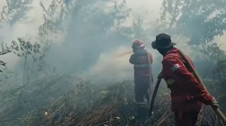 Pemadaman HLG Londerang Memasuki Hari ke-14, Lima Tim Dikerahkan