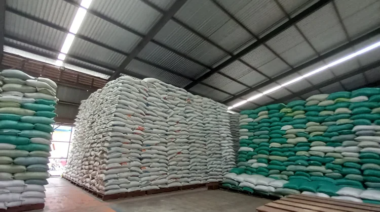 Stok Beras Medium Aman, BULOG Jambi Pastikan Pasokan Terus Didistribusikan