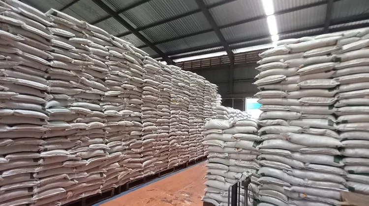 Stok Beras Bulog Aman, Capai 12 ribu Ton