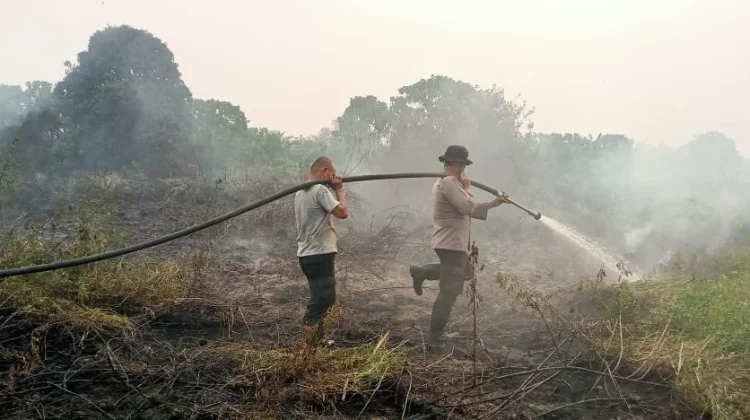 Karhutla di Kumpeh Ulu, 10 Hektare Lahan Berhasil Dipadamkan