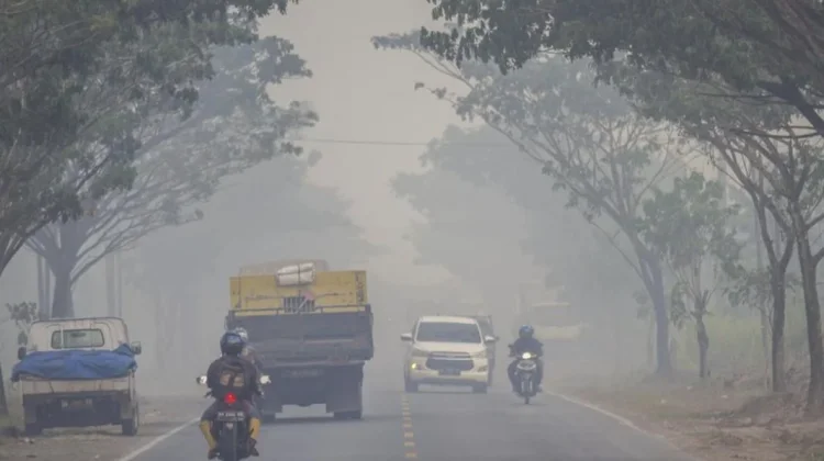 Efek Kabut Asap dan ISPA di Kota Jambi