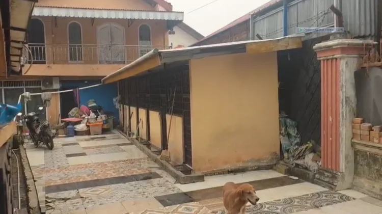 Warga Keluhkan Suara Ratusan Anjing di Shelter Mogi Grand