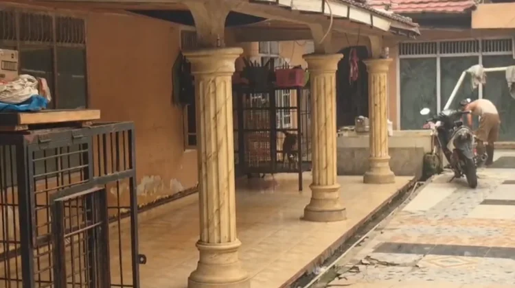 Hewan di Shelter Molby Grand Akhirnya Dipindahkan ke Tempat Lain