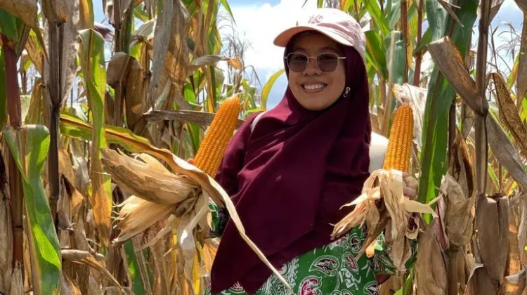 BSIP Jambi Dorong UMKM Olahan Pertanian Naik Kelas lewat SNI Bina UMK