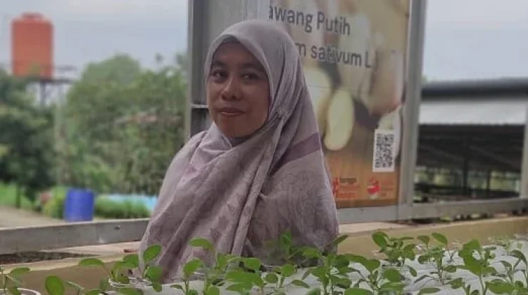 Ingin Produk Berstandar SNI? BSIP Jambi Tegaskan Layanan Pendampingan UMKM Gratis