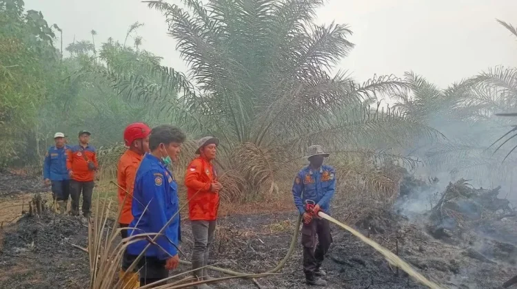 Dewan Tekankan Penanganan 4.267,51 hektare Karhutla dengan 12.106 hotspot di Jambi