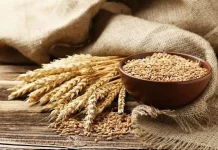 Cegah Obesitas dengan Rutin Mengonsumsi Makanan Ini