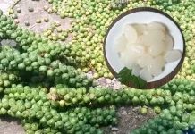 Kolang Kaling Seakan Hanya Ada di Bulan Ramadhan