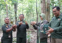 Karantina Jambi Gagalkan Pengiriman Burung tanpa Dokumen