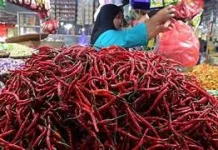 Pemprov Jambi Siapkan Subsidi Cabai jelang Lebaran