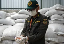 Terdeteksi Aflatoksin Tinggi, Barantin Tolak 40 Ton Kacang Tanah Impor