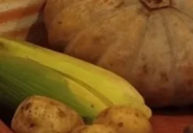 Realisasi Luas Panen Jagung Pipilan Capai 4.508 Ha