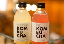 Asal Muasal Teh Kombucha