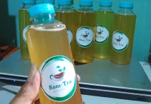 Kombucha Aman Dikonsumsi saat Berpuasa?