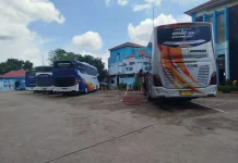 Ratusan Armada Bus Siap Layani Pemudik di Jambi pada Angkutan Lebaran 2026