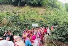 Kopi Specialty Indonesia 2017,  Kopi Arabika Kerinci