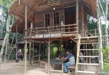 Kopi dari Jambi ada Arabika Robusta serta Liberika
