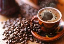 Ayo Berwisata Kopi di Provinsi Jambi