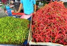 Harga Cabai Rawit di Jambi Tembus Rp100 Ribu per Kg jelang Lebaran