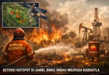 BMKG Deteksi 34 Hotspot di Jambi dan Masyarakat Diminta Waspada Karhutla
