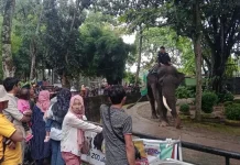 Libur Lebaran 2026, Kunjungan Wisatawan ke Jambi Diprediksi Meningkat