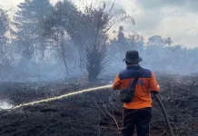 Belajar dari 2015 dan 2019, Pencegahan Karhutla di Jambi Harus Jadi Prioritas