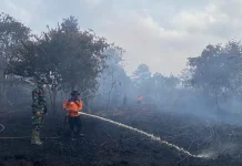 Kebakaran Gambut Masih Jadi Tantangan di Jambi